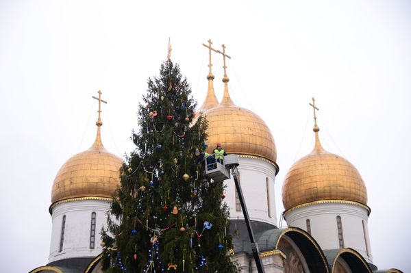 The New Year is Here! Christmas Trees Around the World The New Year is Here! Christmas Trees Around the World - Sputnik International