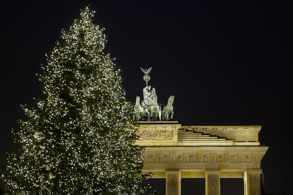 The New Year is Here! Christmas Trees Around the World The New Year is Here! Christmas Trees Around the World - Sputnik International