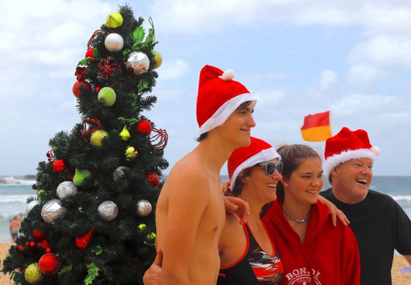 The New Year is Here! Christmas Trees Around the World The New Year is Here! Christmas Trees Around the World - Sputnik International