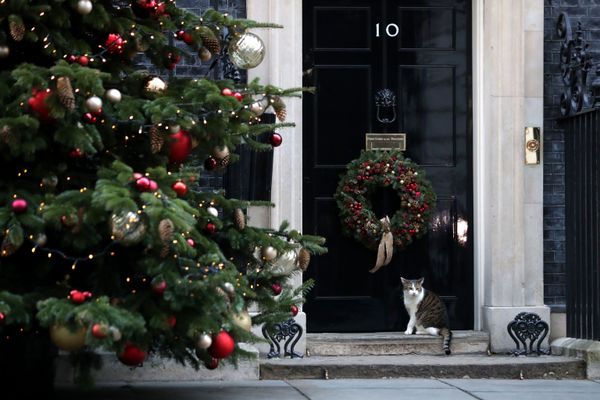 The New Year is Here! Christmas Trees Around the World The New Year is Here! Christmas Trees Around the World - Sputnik International