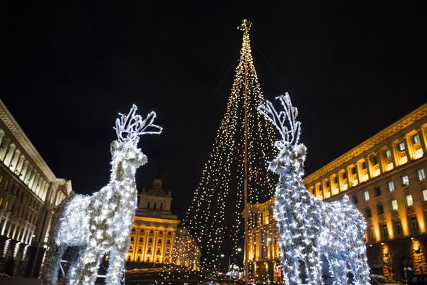 The New Year is Here! Christmas Trees Around the World The New Year is Here! Christmas Trees Around the World - Sputnik International