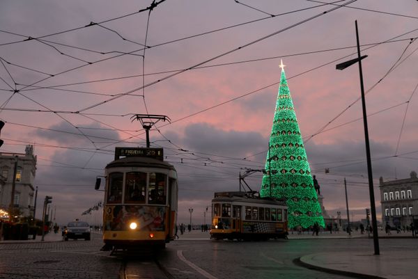 The New Year is Here! Christmas Trees Around the World The New Year is Here! Christmas Trees Around the World - Sputnik International