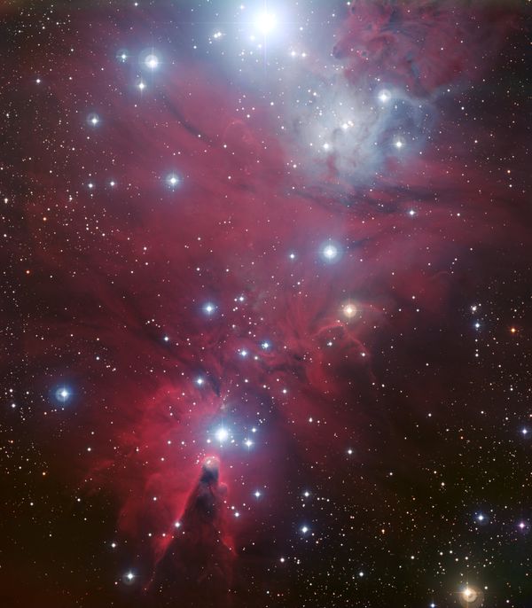 NGC 2264, featuring the inverted Christmas Tree cluster above the cone. The Snowflake nebula in the center shows up better on an infrared version of the image. - Sputnik International