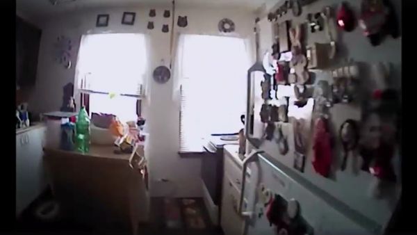 On December 29th, 2017 Brockport Police were called to a residence for a squirrel that had broken into the house, reportedly eating cookies in the kitchen On December 29th, 2017 Brockport Police were called to a residence for a squirrel that had broken into the house, reportedly eating cookies in the kitchen - Sputnik International