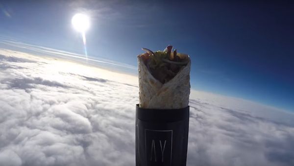 Kebab Gets Launched Into Space In World's First - Sputnik International