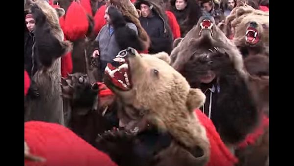 Bear Parade in Romania - Sputnik International
