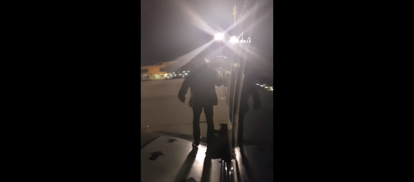 Man frustrated with delays on Ryanair flight departs via emergency exit - Sputnik International