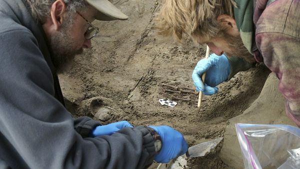 In this Fall 2013 photo released Tuesday, Nov. 11, 2014 by the University of Alaska Fairbanks, professors Ben Potter, left, and Josh Reuther excavate the burial pit at the Upward Sun River site in central Alaska - Sputnik International
