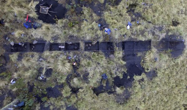 In this 2016 photo provided by Mexico's National Institute of Anthropology and History, INAH, researchers excavate a site on the shores of Nahualac Lagoon, at the foot of the Iztaccihuatl volcano in Mexico State, Mexico - Sputnik International