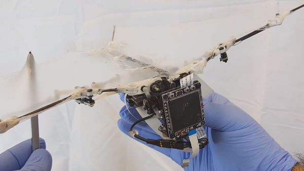 Bat Drone - Sputnik International