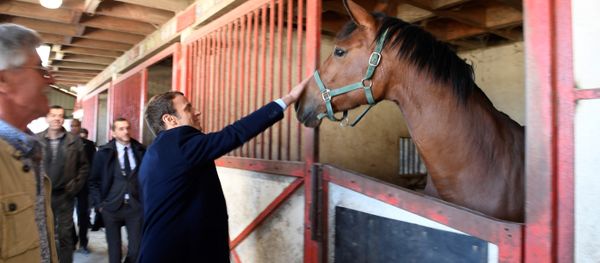 French centrist presidential candidate Emmanuel Macron pets a horse as he visits a farm in Usseau, central France, Saturday, April 29 , 2017 French centrist presidential candidate Emmanuel Macron pets a horse as he visits a farm in Usseau, central France, Saturday, April 29 , 2017 - Sputnik International