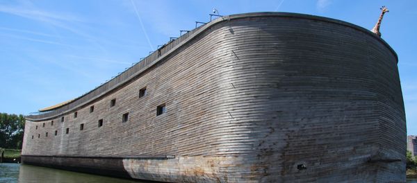 Noah's Ark - Sputnik International
