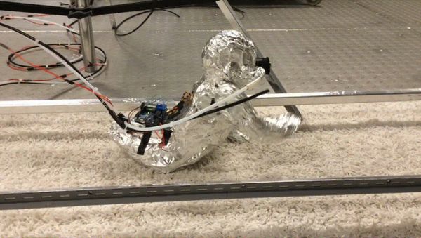 A robot baby was used to determine how much biological material crawling infants stir up from carpets by a research team led by Brandon E. Boor, an assistant professor at Purdue University A robot baby was used to determine how much biological material crawling infants stir up from carpets by a research team led by Brandon E. Boor, an assistant professor at Purdue University - Sputnik International