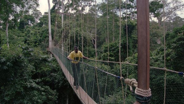 A footbridge over a river in the African country of Ghana - Sputnik International
