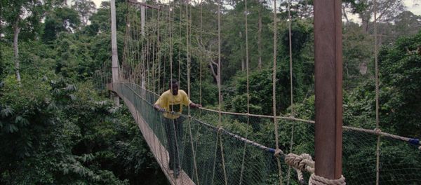 A footbridge over a river in the African country of Ghana - Sputnik International