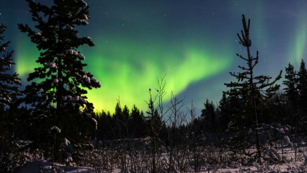 Dancing Northern Lights in Russia's Arctic Port of Murmansk - Sputnik International