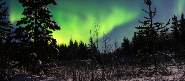 Dancing Northern Lights in Russia's Arctic Port of Murmansk - Sputnik International