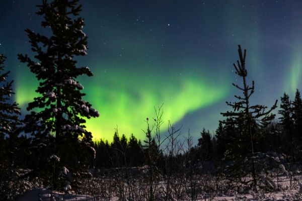 Dancing Northern Lights in Russia's Arctic Port of Murmansk - Sputnik International