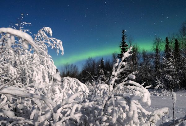 Dancing Northern Lights in Russia's Arctic Port of Murmansk - Sputnik International