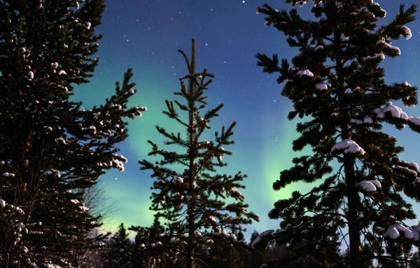 Dancing Northern Lights in Russia's Arctic Port of Murmansk - Sputnik International