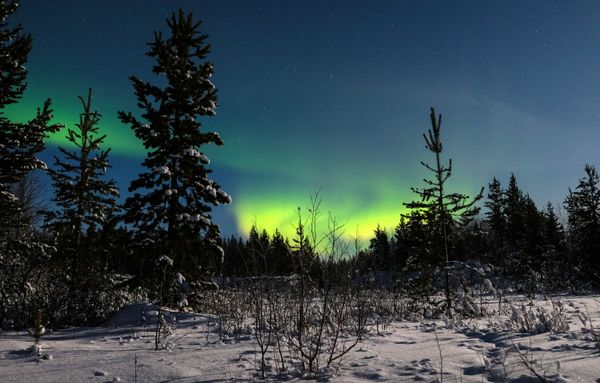 Dancing Northern Lights in Russia's Arctic Port of Murmansk - Sputnik International