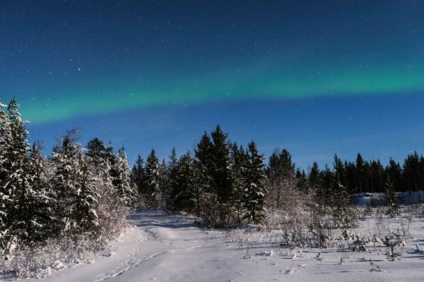 Dancing Northern Lights in Russia's Arctic Port of Murmansk - Sputnik International