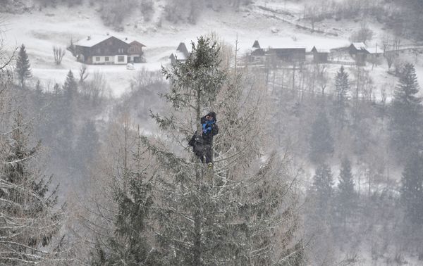This Week in Pictures (January 13-19) - Sputnik International