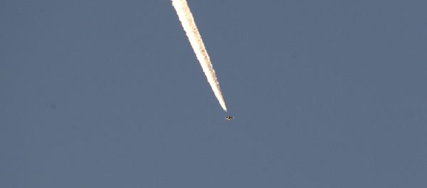A Turkish fighter jet flies over the town of Hassa on the Turkish-Syrian border in Hatay province, Turkey January 20, 2018 A Turkish fighter jet flies over the town of Hassa on the Turkish-Syrian border in Hatay province, Turkey January 20, 2018 - Sputnik International