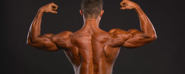 Fitness - Sputnik International