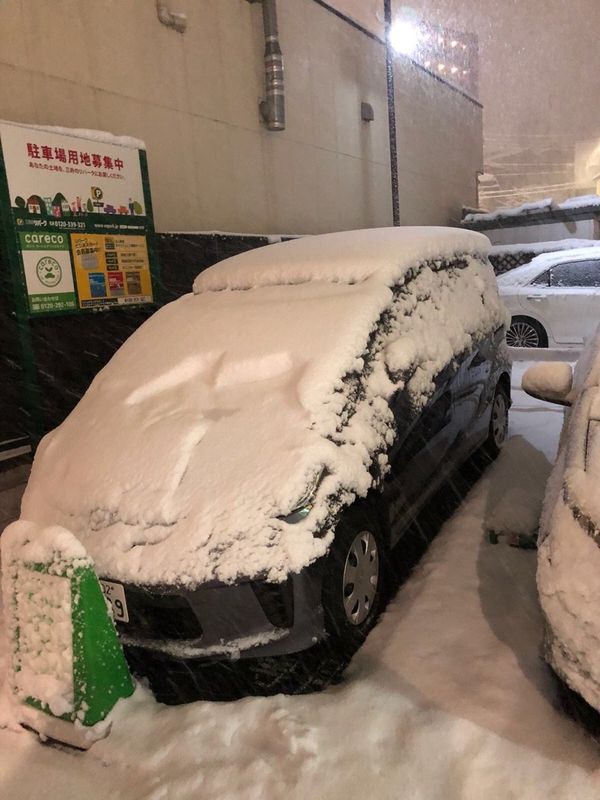 Extreme Weather: Japan Hit by Heavy Snow, Flights Disrupted Extreme Weather: Japan Hit by Heavy Snow, Flights Disrupted - Sputnik International