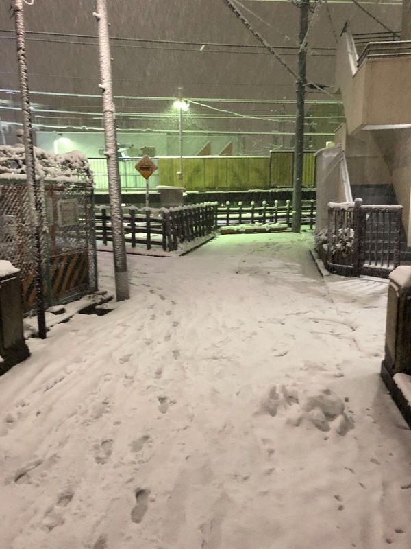Extreme Weather: Japan Hit by Heavy Snow, Flights Disrupted Extreme Weather: Japan Hit by Heavy Snow, Flights Disrupted - Sputnik International
