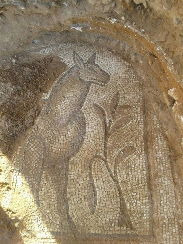 Syrian army discovered ancient Byzantian mosaics in Hama - Sputnik International