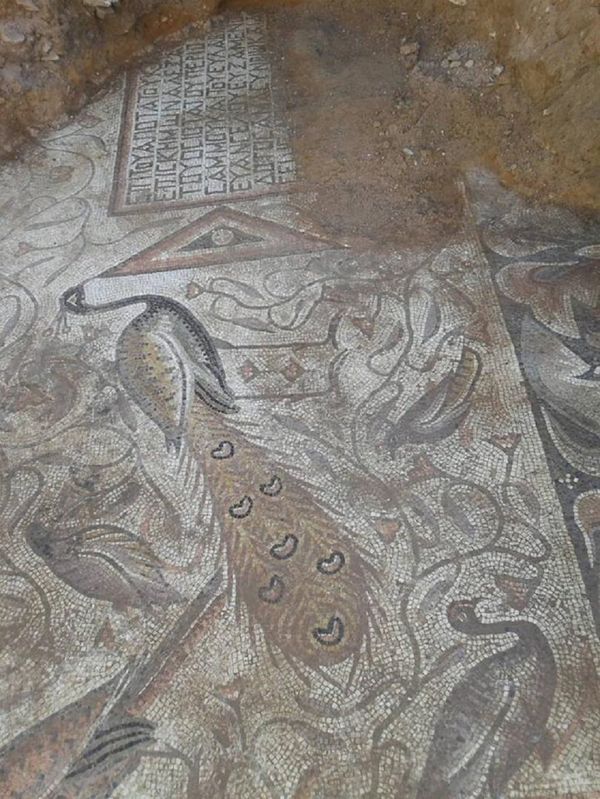 Syrian army discovered ancient Byzantian mosaics in Hama - Sputnik International