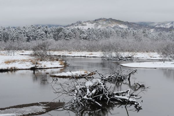 Russia's Kurilsky Reserve: Magnificent Nature Retreat in the Land of Volcanoes - Sputnik International