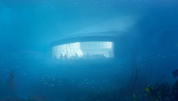 Under underwater restaurant Under underwater restaurant - Sputnik International