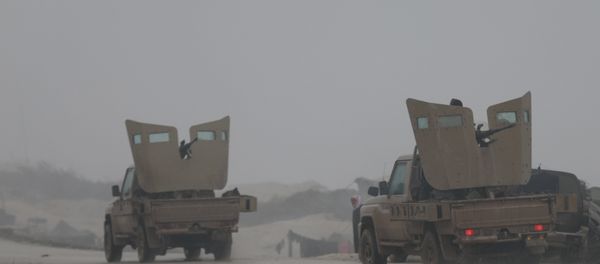 A military weapon is seen on the back of a pick-up truck near Mount Barsaya, northeast of Afrin, Syria A military weapon is seen on the back of a pick-up truck near Mount Barsaya, northeast of Afrin, Syria - Sputnik International
