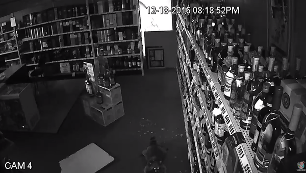 Stealthy Raccoon Makes a Late Night Liquor Heist - Sputnik International
