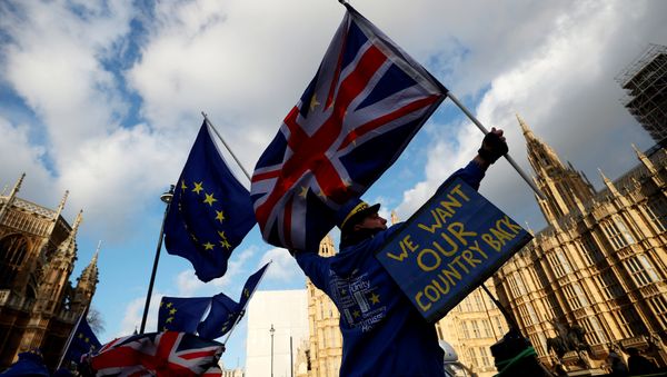 Anti-Brexit protesters demonstrate opposite the Houses of Parliament in London, Britain, January 16, 2018 - Sputnik International