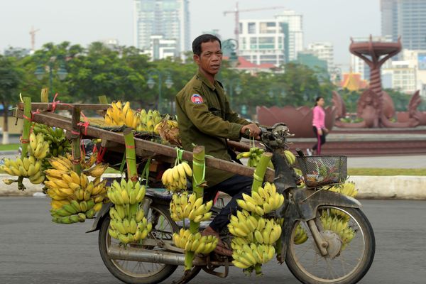 This Week in Pictures (January 20-26) - Sputnik International