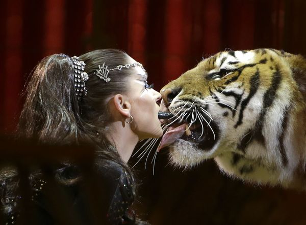 This Week in Pictures (January 20-26) - Sputnik International