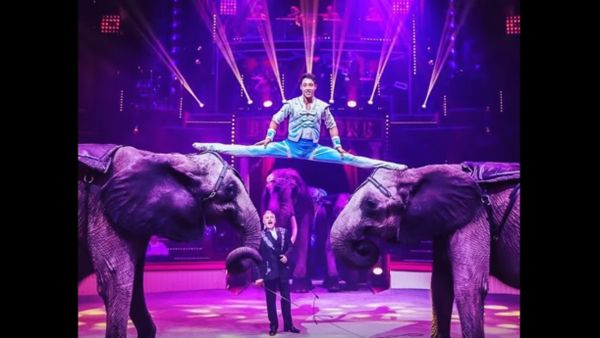 Unusual Acrobatic Tricks - Sputnik International