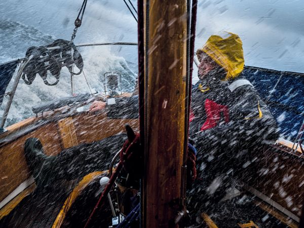 'Outdoor Photographer of the Year 2017' Contest Reveals Category Winners - Sputnik International
