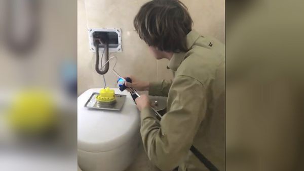 Snake in toilet - Sputnik International