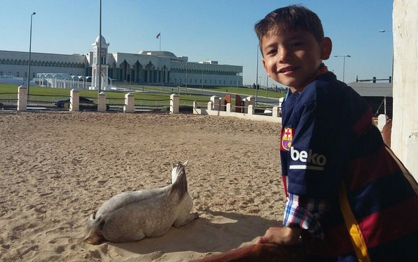 Murtaza Ahmadi Murtaza Ahmadi - Sputnik International