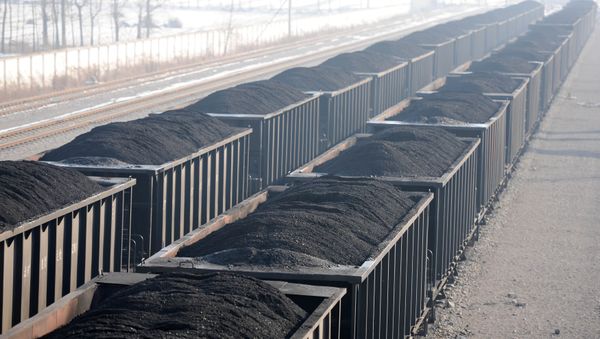 gondola railcars loaded with coal - Sputnik International