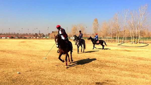 Chovgan, an Iranian version of modern sport polo - Sputnik International
