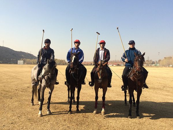 Chovgan, an Iranian version of modern sport polo Chovgan, an Iranian version of modern sport polo - Sputnik International