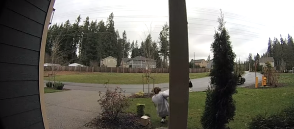 Porch robber injures leg after slipping on wet grass in Washington state - Sputnik International