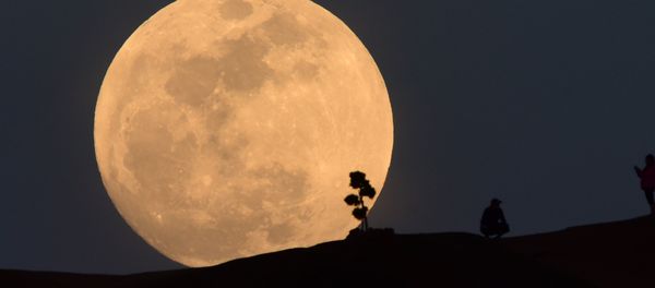 A person poses for a photo as the moon rises over Griffith Park in Los Angeles, California, on January 30, 2018 A person poses for a photo as the moon rises over Griffith Park in Los Angeles, California, on January 30, 2018 - Sputnik International