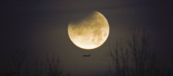 A plane passes by as the moon sets over trees during a phenomena that combined a supermoon, a blue moon and a lunar eclipse in Charlotte, N.C., Wednesday, Jan. 31, 2018 - Sputnik International